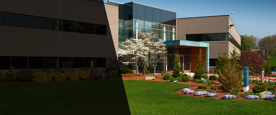 Bogue Chitto Landscapers