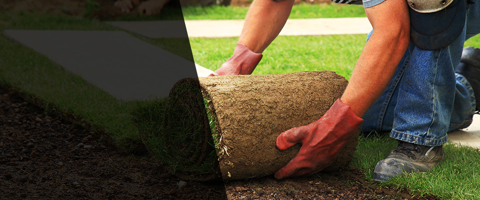 Bogue Chitto Landscapers